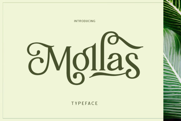 Mollas Font Adds Nostalgic Charm to Creative Projects