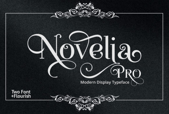 Novelia Pro: A Display Font That Elevates Web Design